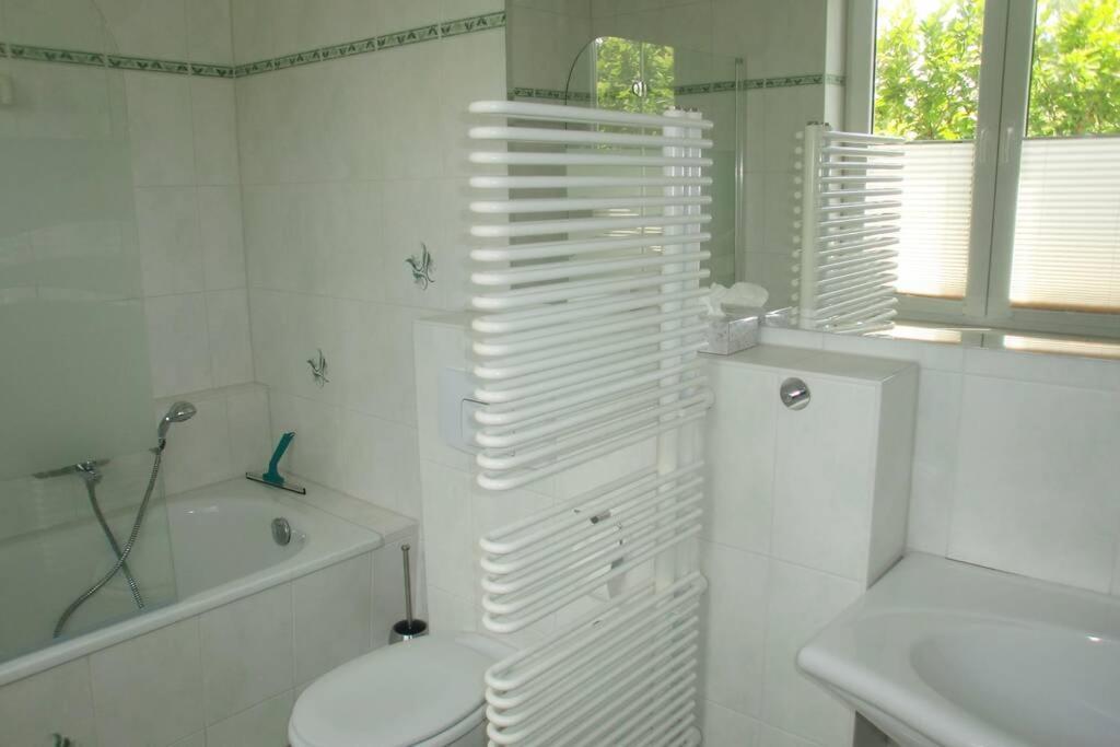Apartment Oase Im Dresdner Westen *